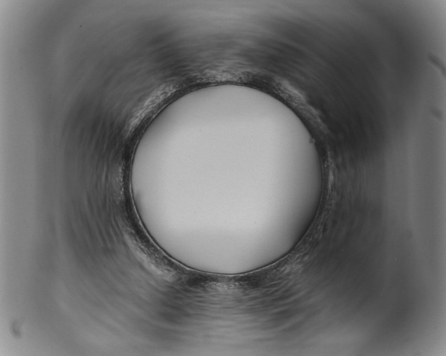 X0000100380250200806271341