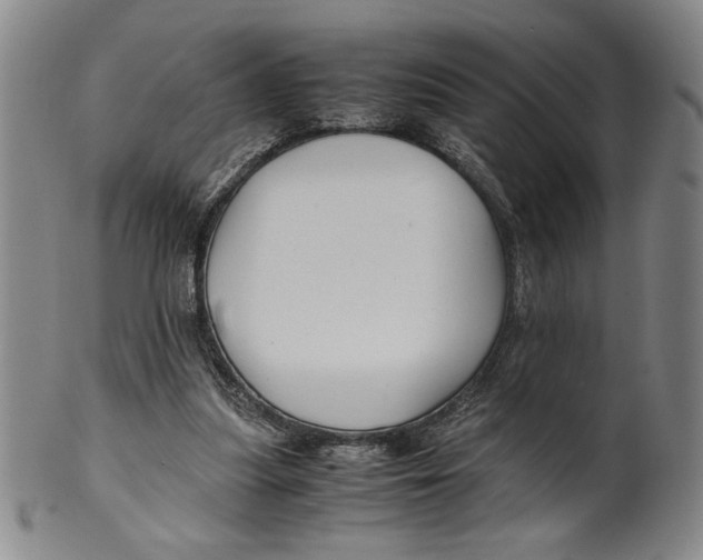 X0000100380251200806271341