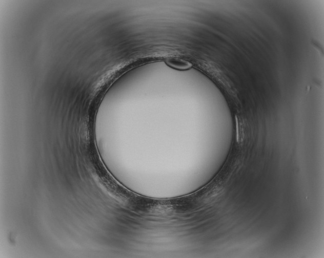 X0000100380252200806271341