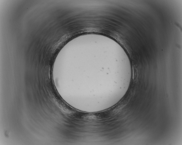 X0000100380253200806271341