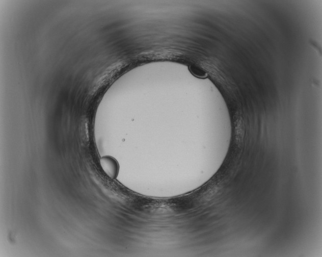X0000100380254200806271341