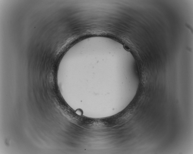 X0000100380256200806271341
