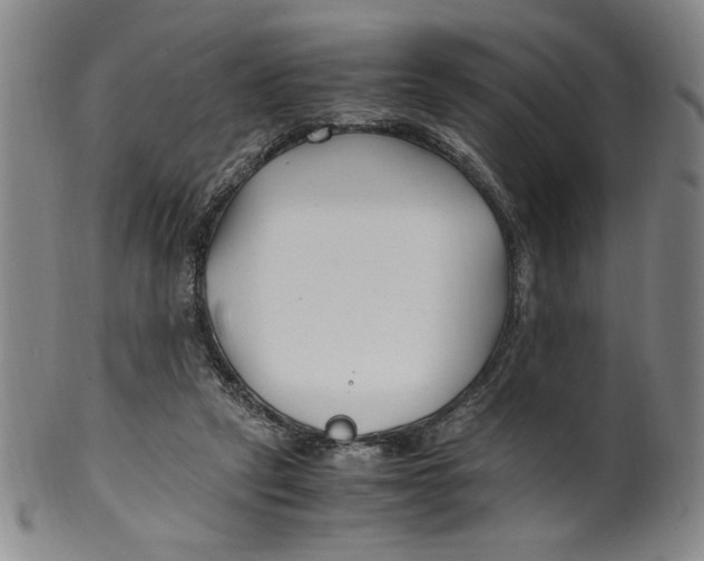 X0000100380257200806271341
