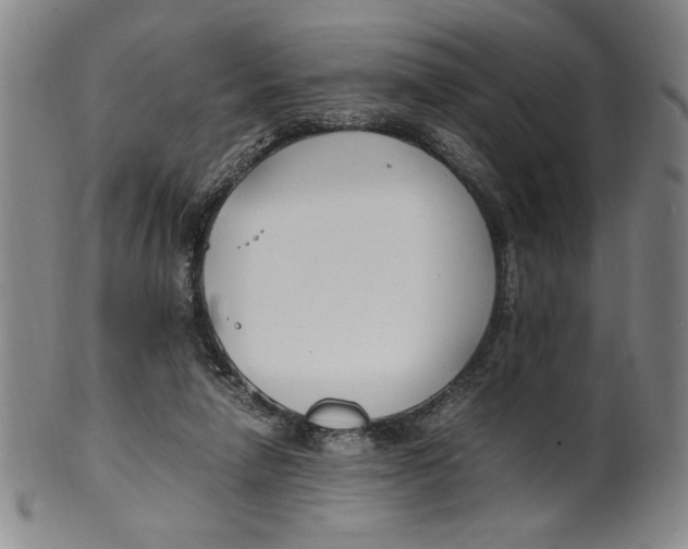 X0000100380258200806271341