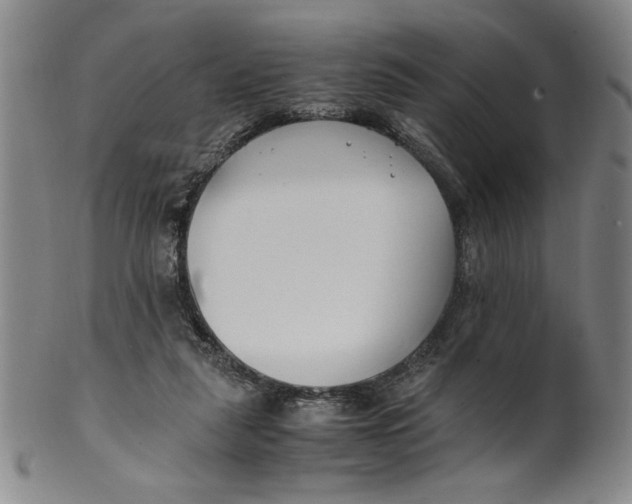 X0000100380259200806271341