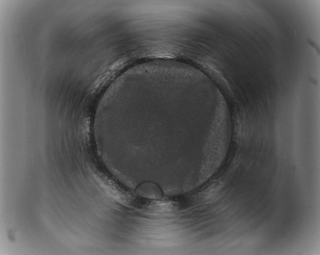 X0000100380260200806271341