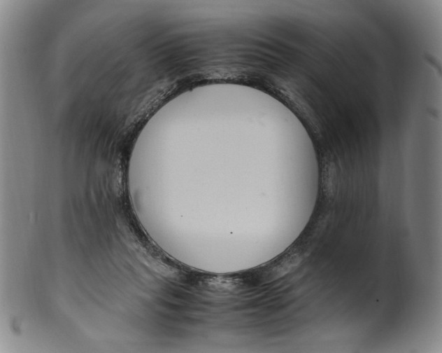X0000100380261200806271341