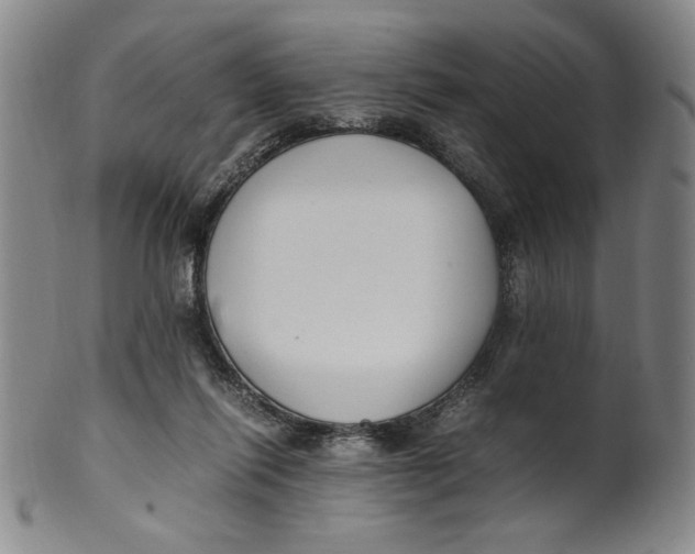 X0000100380262200806271341