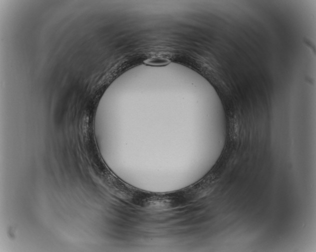 X0000100380263200806271341