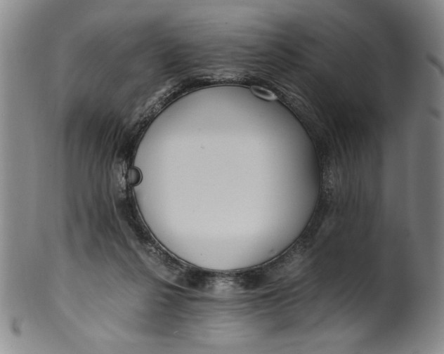 X0000100380264200806271341