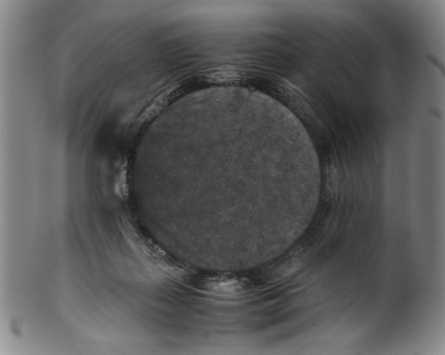 X0000100380267200806271341