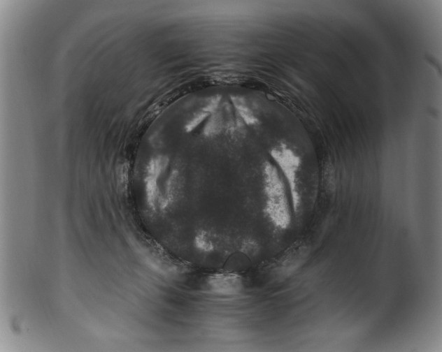 X0000100380271200806271341