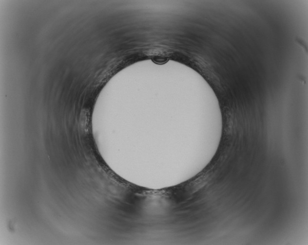 X0000100380273200806271341