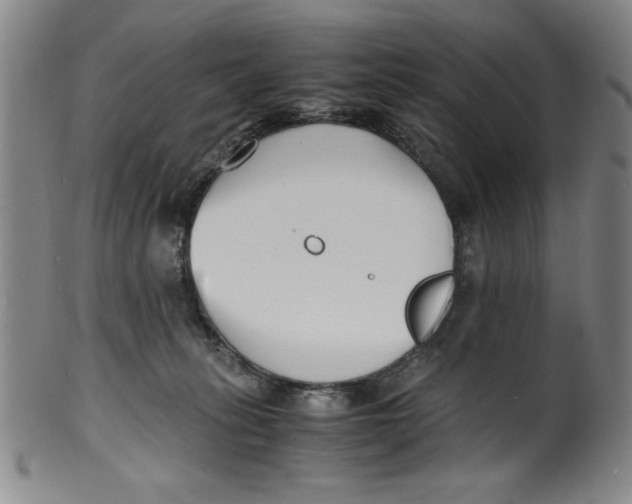 X0000100380275200806271341