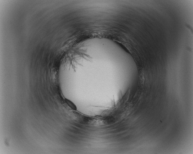 X0000100380276200806271341