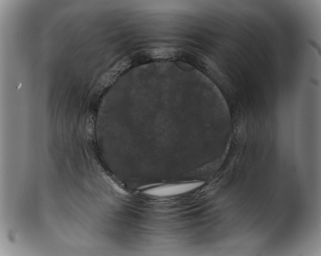 X0000100380277200806271341