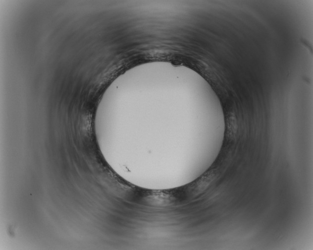 X0000100380278200806271341