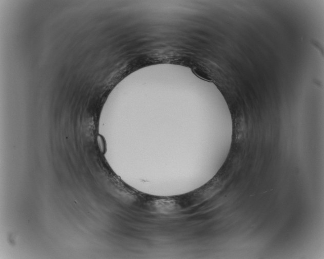 X0000100380279200806271341