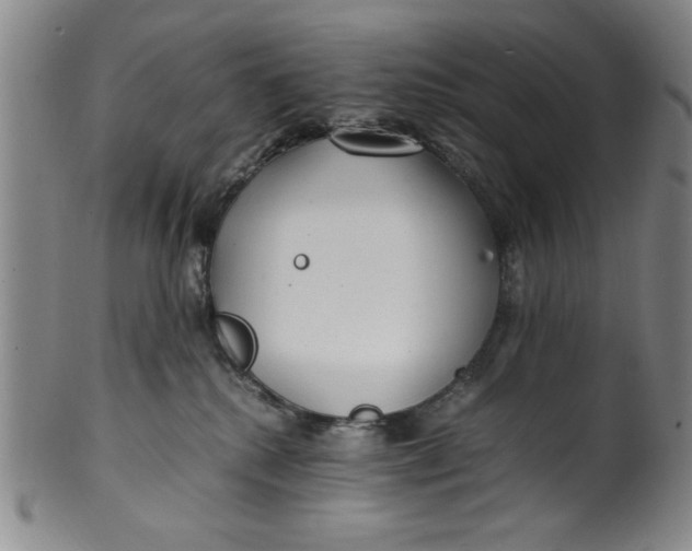 X0000100380280200806271341