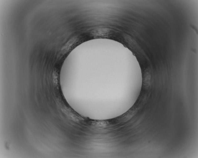X0000100380282200806271341