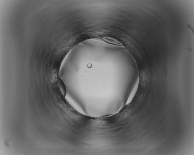 X0000100380284200806271341