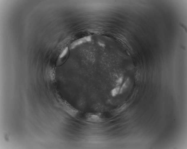 X0000100380285200806271341
