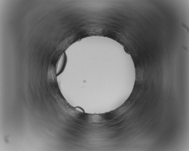 X0000100380287200806271341