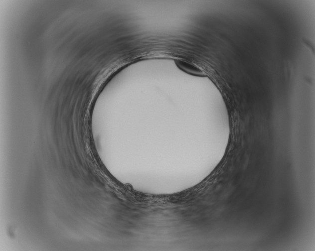 X0000100380289200806271341