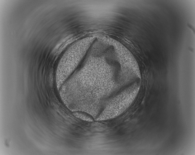 X0000100380290200806271341