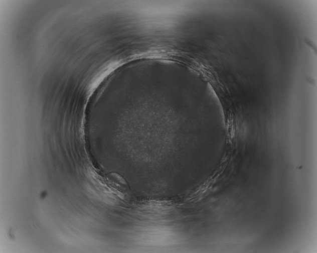 X0000100380292200806271341
