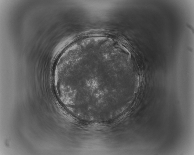 X0000100380293200806271341