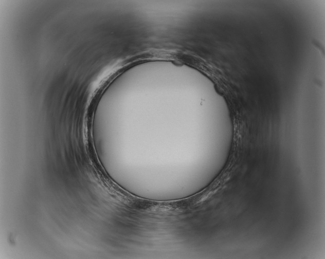 X0000100380294200806271341