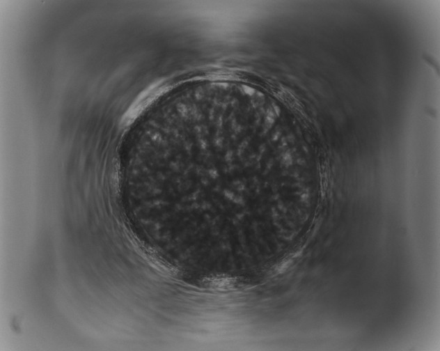 X0000100380295200806271341