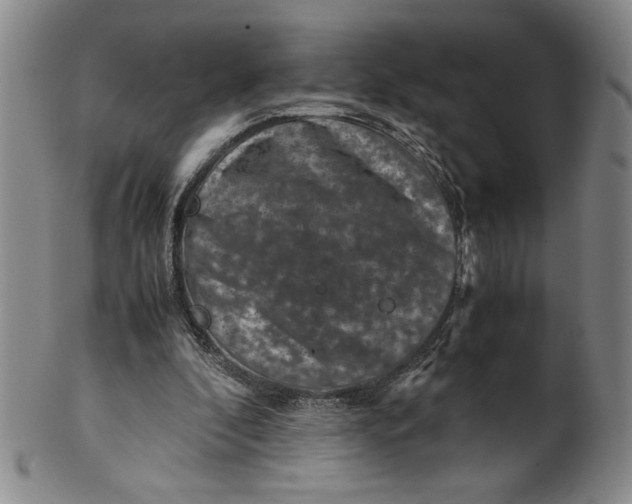 X0000100380296200806271340