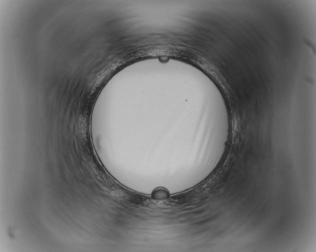 X0000100380297200806271340