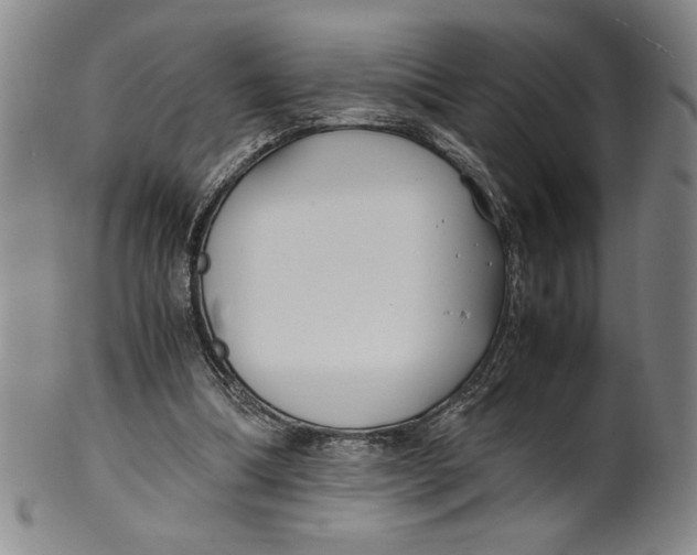 X0000100380298200806271340