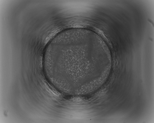 X0000100380299200806271340