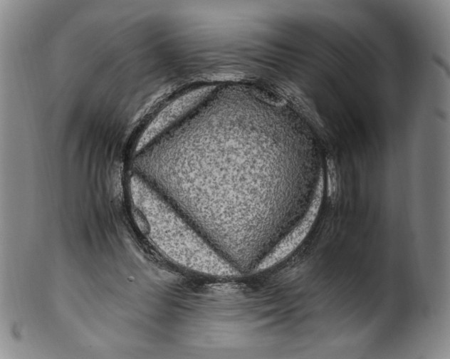 X0000100380300200806271340