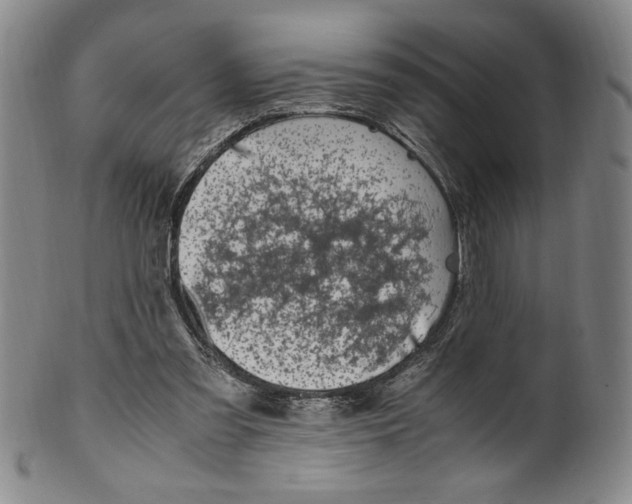 X0000100380301200806271340