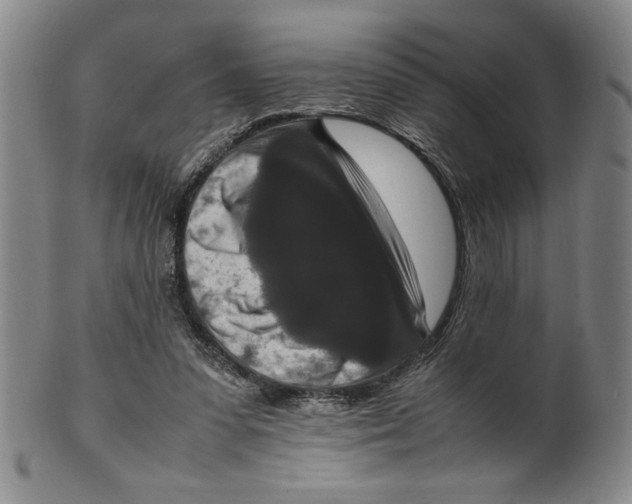 X0000100380303200806271340