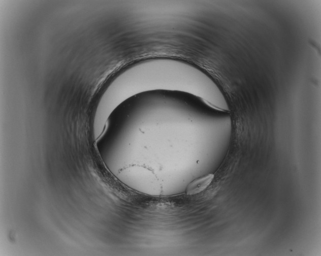 X0000100380304200806271340