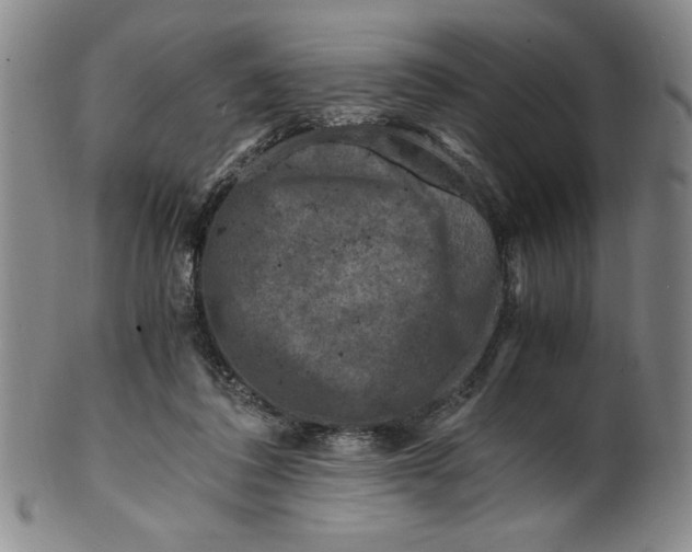 X0000100380308200806271340
