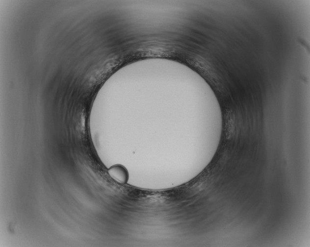 X0000100380310200806271340