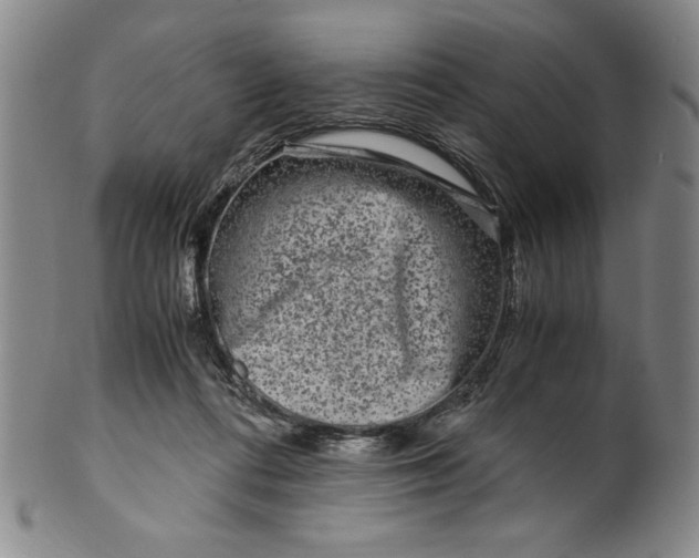 X0000100380312200806271340