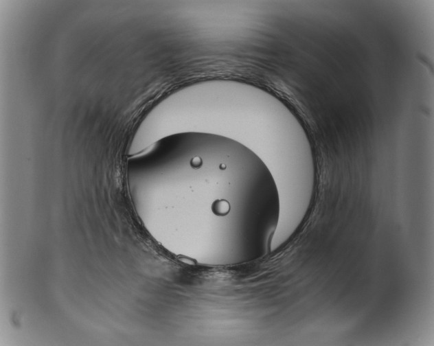 X0000100380313200806271340