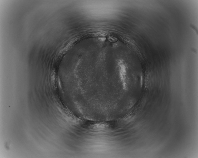 X0000100380314200806271340