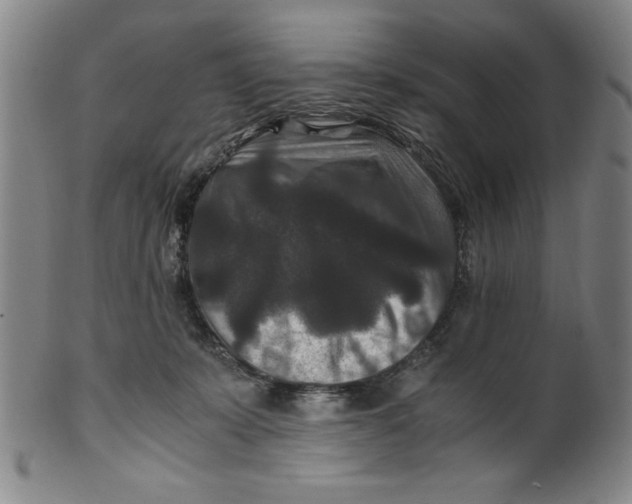 X0000100380319200806271340
