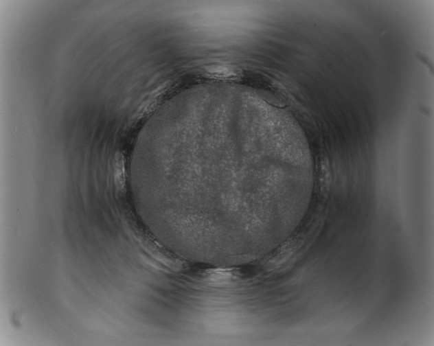 X0000100380320200806271340