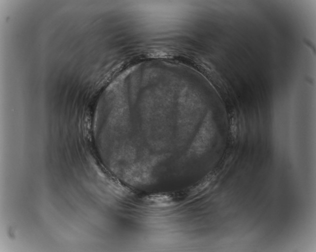 X0000100380322200806271340