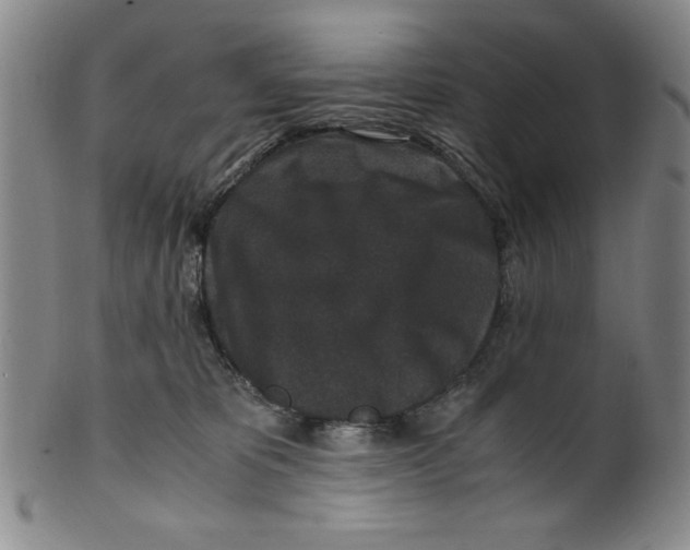 X0000100380325200806271340